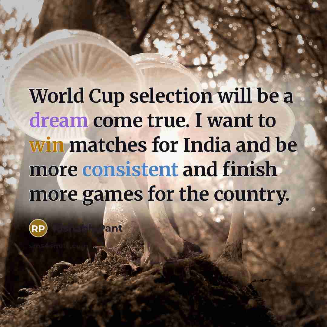 “World Cup selection will be a dream come true. I want to win matches for India and be more consistent and finish more games for the country.” quote by Rishabh Pant