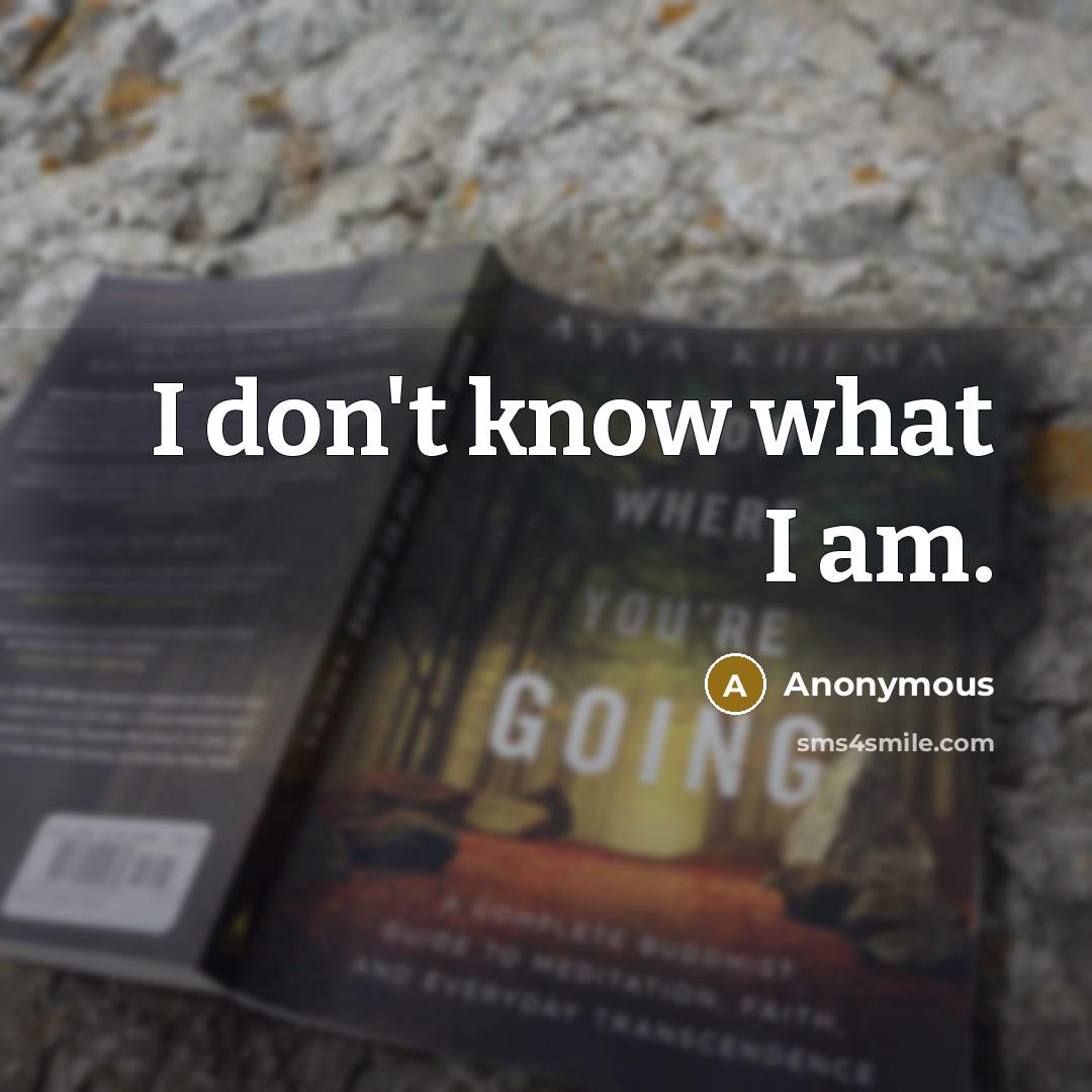 “I don't know what I am.” quote by Anonymous
