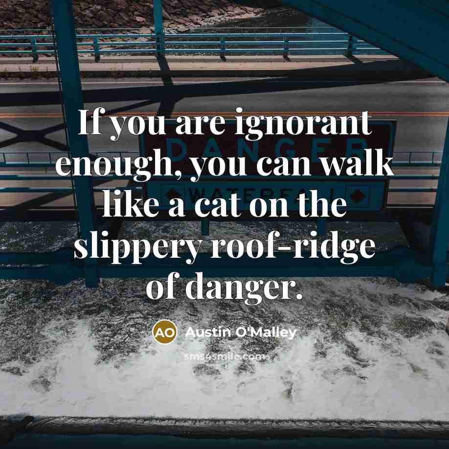“If you are ignorant enough, you can walk like a cat on the slippery roof-ridge of danger.” quote by Austin O'Malley