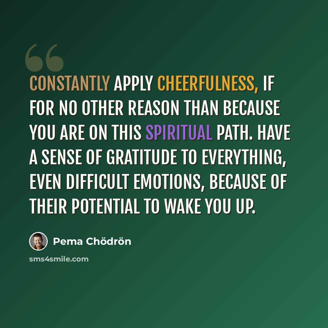 “Constantly apply cheerfulness, if for no other reason than because you are on this spiritual path. Have a sense of gratitude to everything, even difficult emotions, because of their potential to wake you up.” quote by Pema Chodron