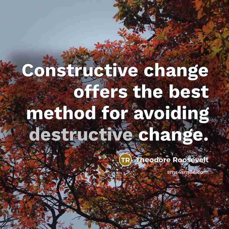 “Constructive change offers the best method for avoiding destructive change.” quote by Theodore Roosevelt