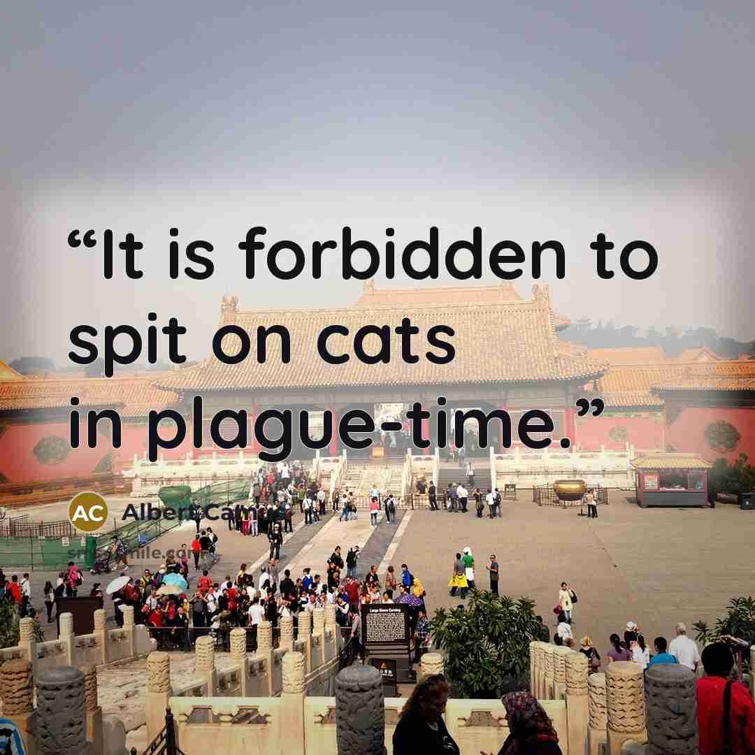 “It is forbidden to spit on cats in plague-time.” quote by Albert Camus
