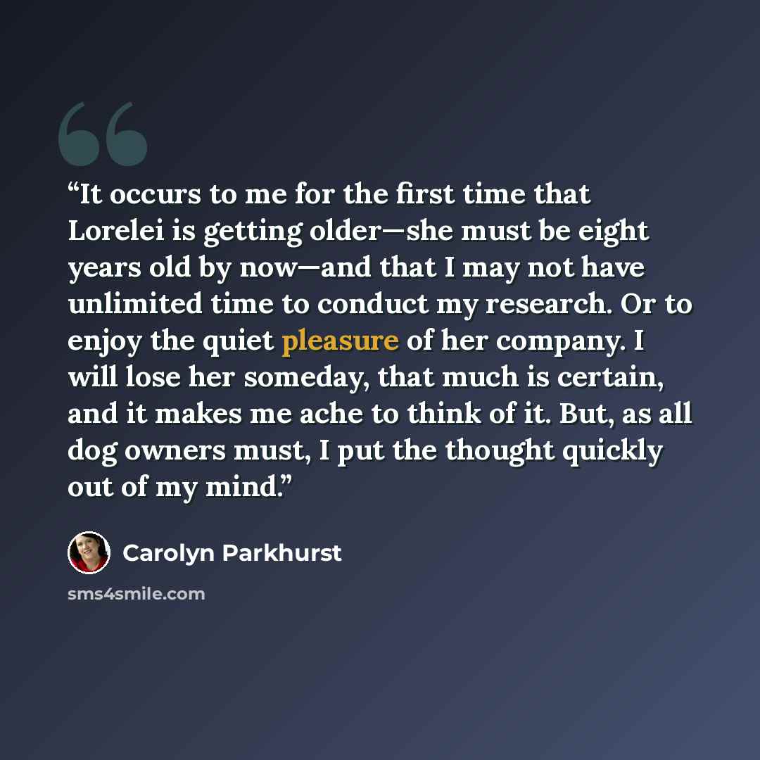“It occurs to me for the first time that Lorelei is getting older—she must be eight years old by now—and that I may not have unlimited time to conduct my research. Or to enjoy the quiet pleasure of her company. I will lose her someday, that much is certain, and it makes me ache to think of it. But…” quote by Carolyn Parkhurst