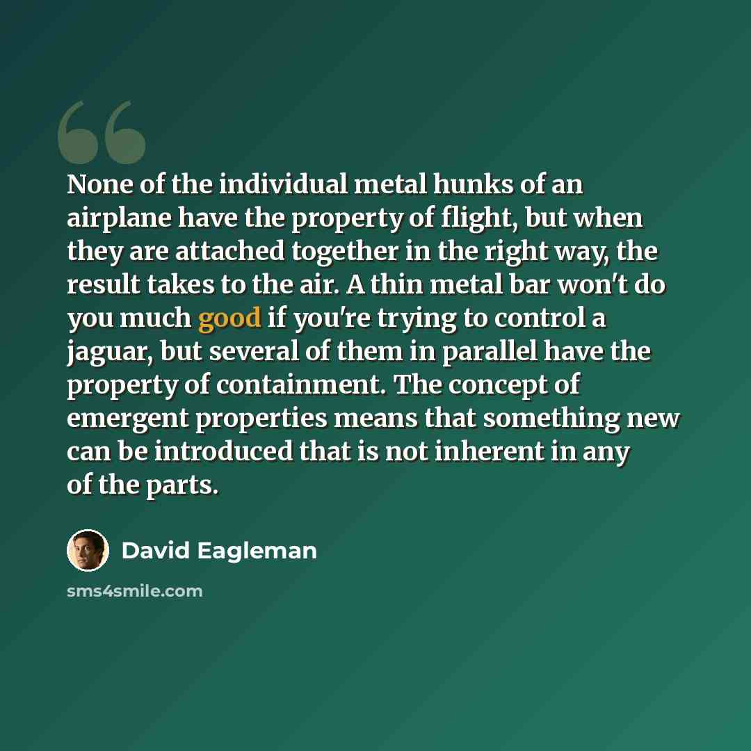 “None of the individual metal hunks of an airplane have the property of ﬂight, but when they are attached together in the right way, the result takes to the air. A thin metal bar won't do you much good if you're trying to control a jaguar, but several of them in parallel have the property of…” quote by David Eagleman