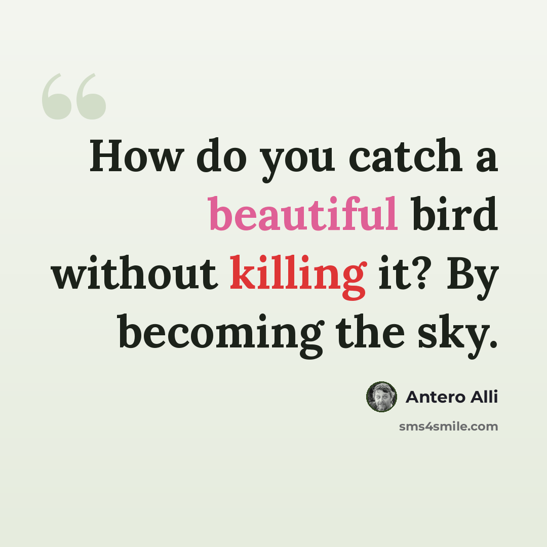“How do you catch a beautiful bird without killing it? By becoming the sky.” quote by Antero Alli