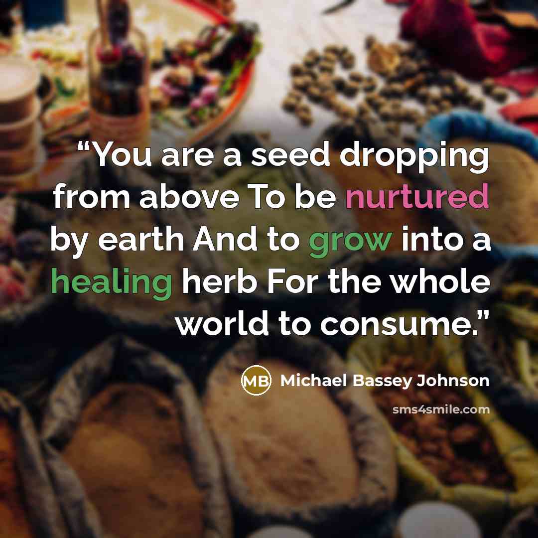 “You are a seed dropping from above To be nurtured by earth And to grow into a healing herb For the whole world to consume.” quote by Michael Bassey Johnson