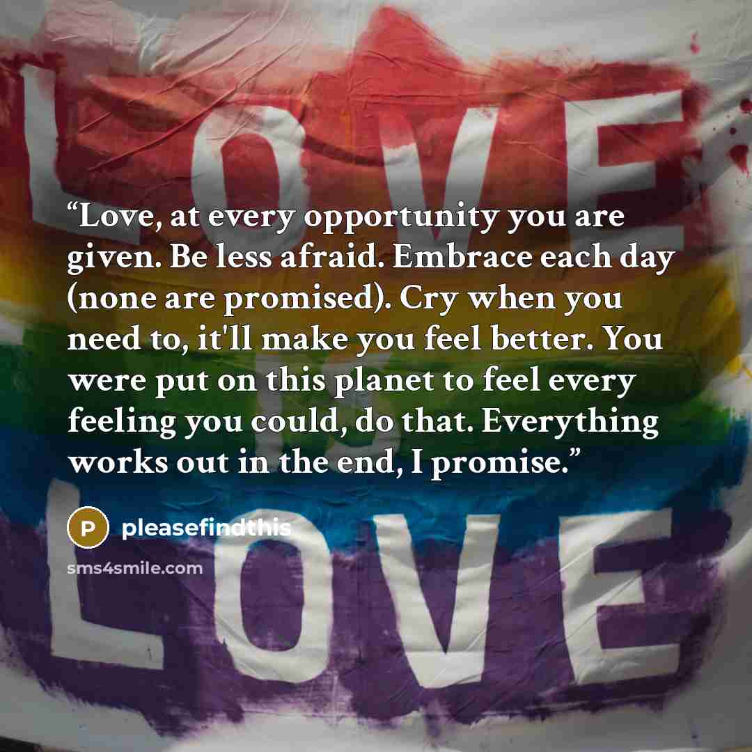“Love, at every opportunity you are given. Be less afraid. Embrace each day (none are promised). Cry when you need to, it'll make you feel better. You were put on this planet to feel every feeling you could, do that. Everything works out in the end, I promise.” quote by pleasefindthis