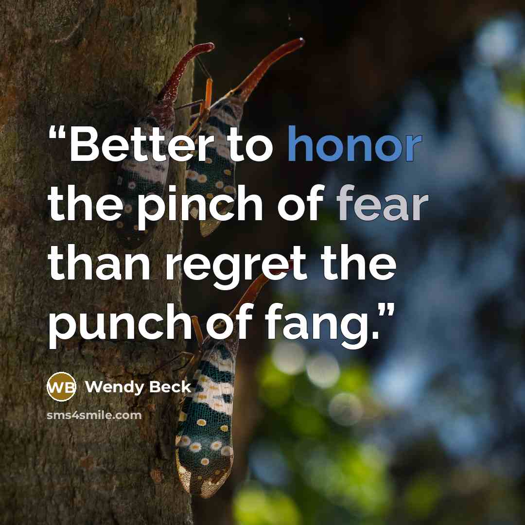 “Better to honor the pinch of fear than regret the punch of fang.” quote by Wendy Beck