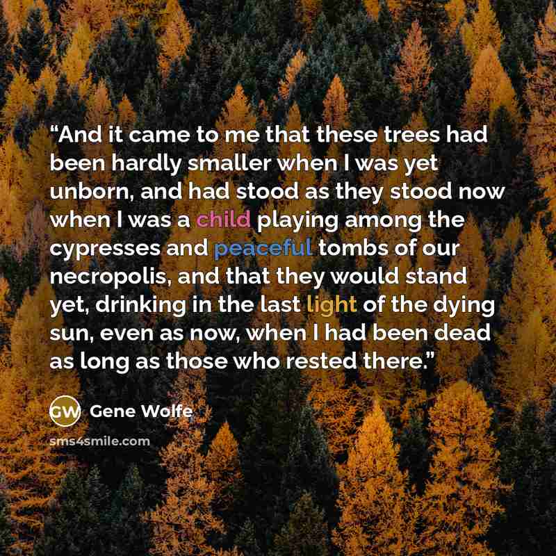 “And it came to me that these trees had been hardly smaller when I was yet unborn, and had stood as they stood now when I was a child playing among the cypresses and peaceful tombs of our necropolis, and that they would stand yet, drinking in the last light of the dying sun, even as now, when I had…” quote by Gene Wolfe