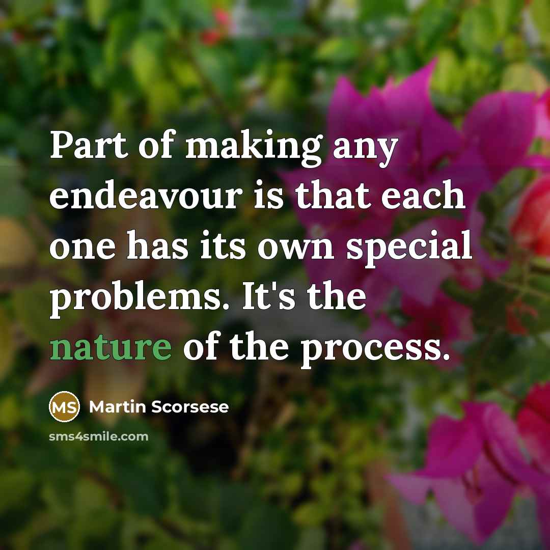 “Part of making any endeavour is that each one has its own special problems. It's the nature of the process.” quote by Martin Scorsese