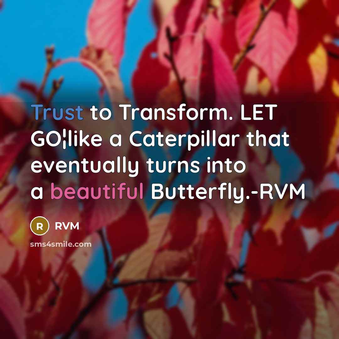 “Trust to Transform. LET GO¦like a Caterpillar that eventually turns into a beautiful Butterfly.-RVM” quote by RVM