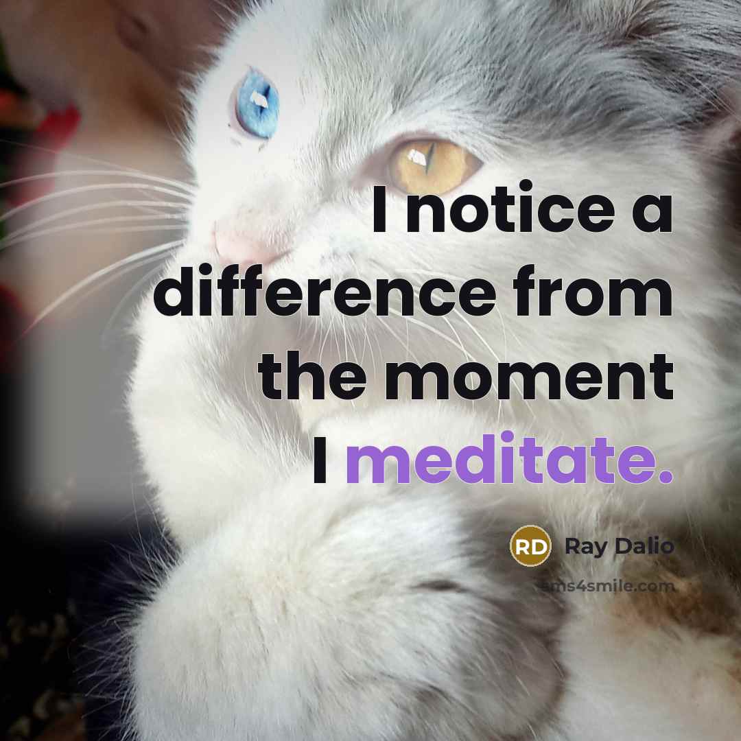 “I notice a difference from the moment I meditate.” quote by Ray Dalio