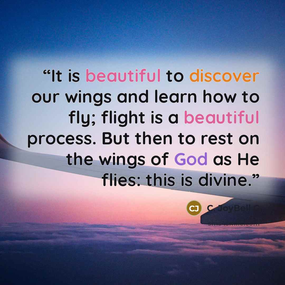 “It is beautiful to discover our wings and learn how to fly; flight is a beautiful process. But then to rest on the wings of God as He flies: this is divine.” quote by C. JoyBell C
