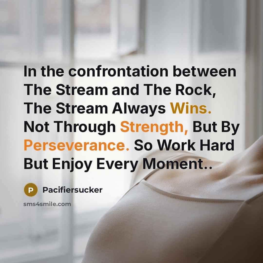 “In the confrontation between The Stream and The Rock, The Stream Always Wins. Not Through Strength, But By Perseverance. So Work Hard But Enjoy Every Moment..” quote by Pacifiersucker