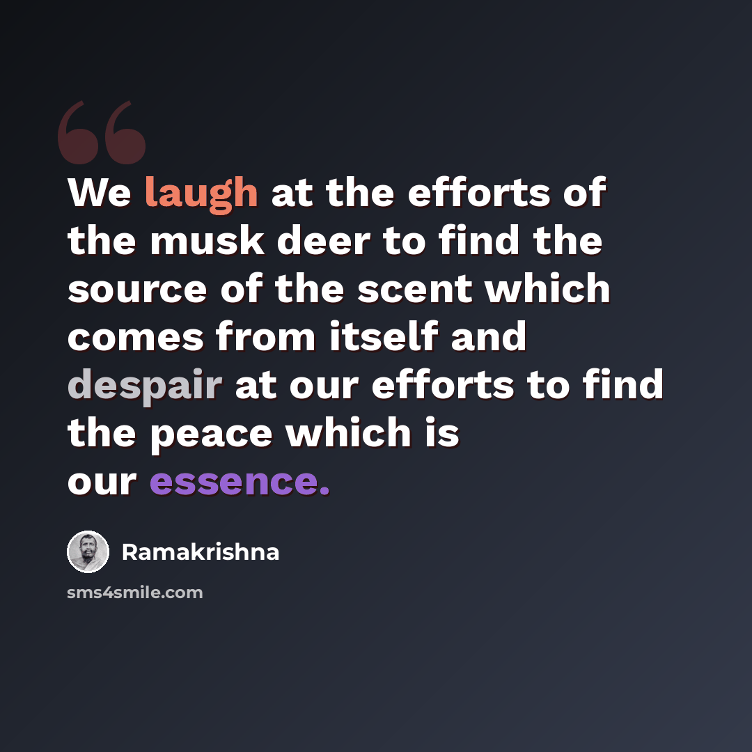 “We laugh at the efforts of the musk deer to find the source of the scent which comes from itself and despair at our efforts to find the peace which is our essence.” quote by Ramakrishna