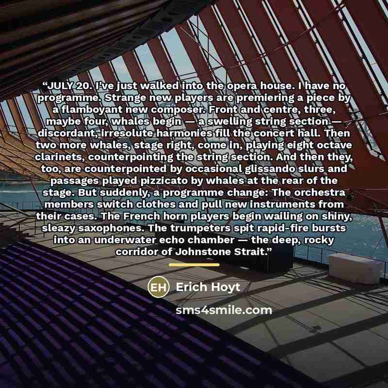 “JULY 20. I've just walked into the opera house. I have no programme. Strange new players are premiering a piece by a flamboyant new composer. Front and centre, three, maybe four, whales begin — a swelling string section — discordant, irresolute harmonies fill the concert hall. Then two more…” quote by Erich Hoyt