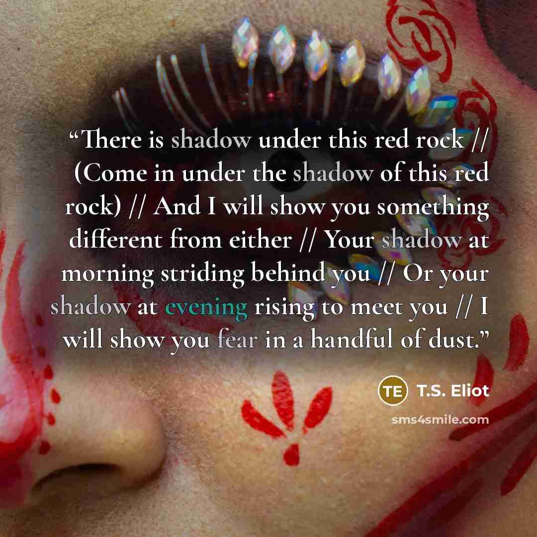 “There is shadow under this red rock // (Come in under the shadow of this red rock) // And I will show you something different from either // Your shadow at morning striding behind you // Or your shadow at evening rising to meet you // I will show you fear in a handful of dust.” quote by T.S. Eliot