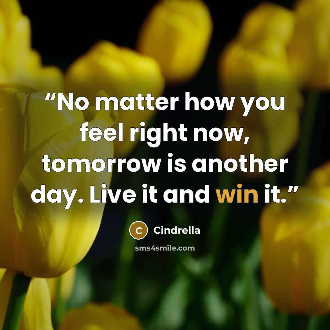 “No matter how you feel right now, tomorrow is another day. Live it and win it.” quote by Cindrella