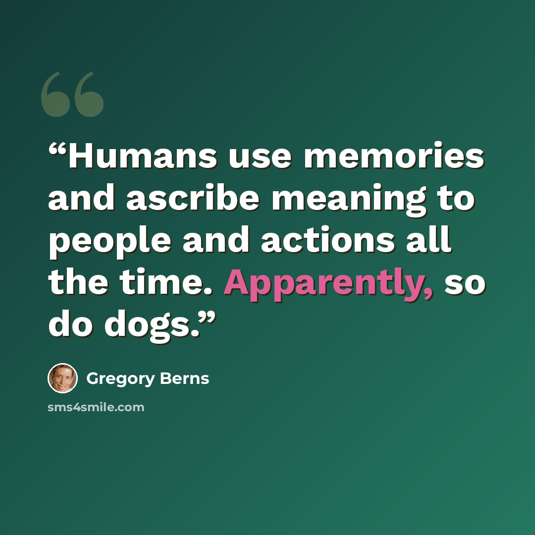 “Humans use memories and ascribe meaning to people and actions all the time. Apparently, so do dogs.” quote by Gregory Berns
