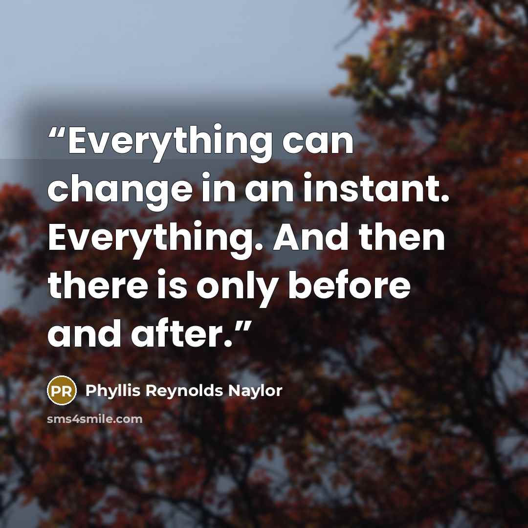 “Everything can change in an instant. Everything. And then there is only before and after.” quote by Phyllis Reynolds Naylor