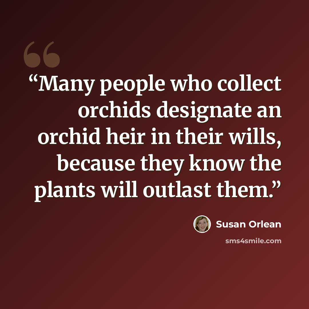 “Many people who collect orchids designate an orchid heir in their wills, because they know the plants will outlast them.” quote by Susan Orlean