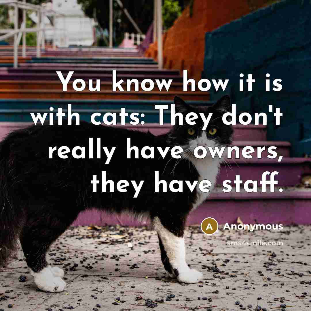 “You know how it is with cats: They don't really have owners, they have staff.” quote by Anonymous