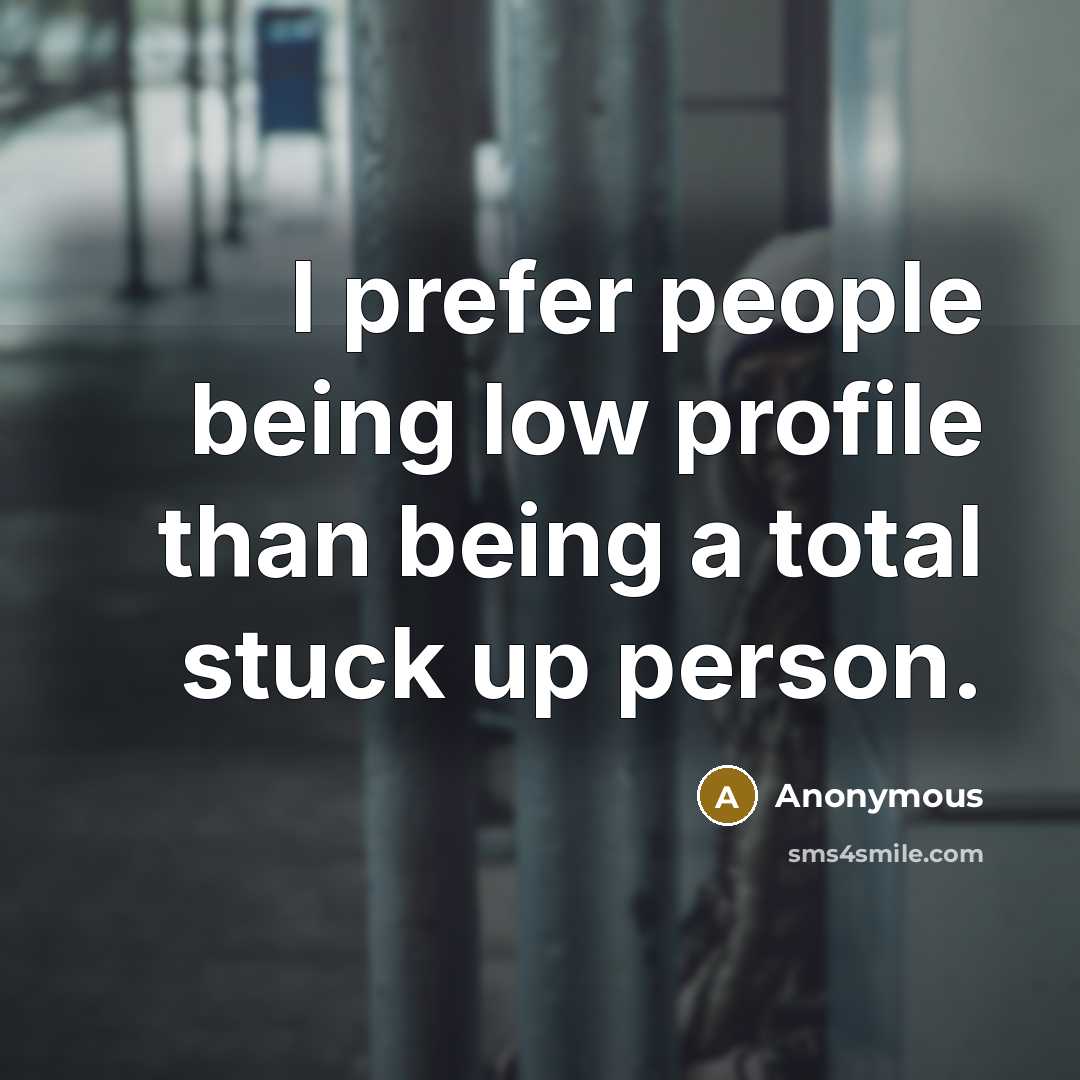 “I prefer people being low profile than being a total stuck up person.” quote by Anonymous
