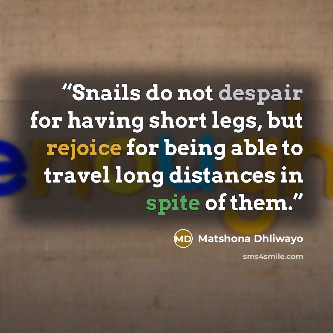 “Snails do not despair for having short legs, but rejoice for being able to travel long distances in spite of them.” quote by Matshona Dhliwayo