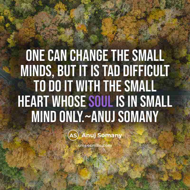 “One can change the small minds, but it is tad difficult to do it with the small heart whose soul is in small mind only.~Anuj Somany” quote by Anuj Somany
