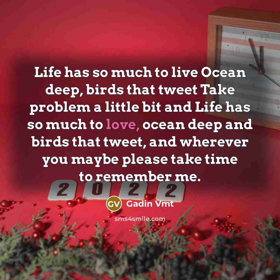 “Life has so much to live Ocean deep, birds that tweet Take problem a little bit and Life has so much to love, ocean deep and birds that tweet, and wherever you maybe please take time to remember me.” quote by Gadin Vmt