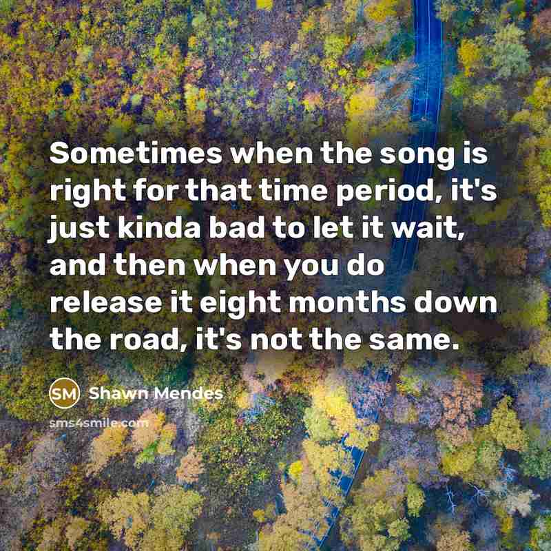 “Sometimes when the song is right for that time period, it's just kinda bad to let it wait, and then when you do release it eight months down the road, it's not the same.” quote by Shawn Mendes