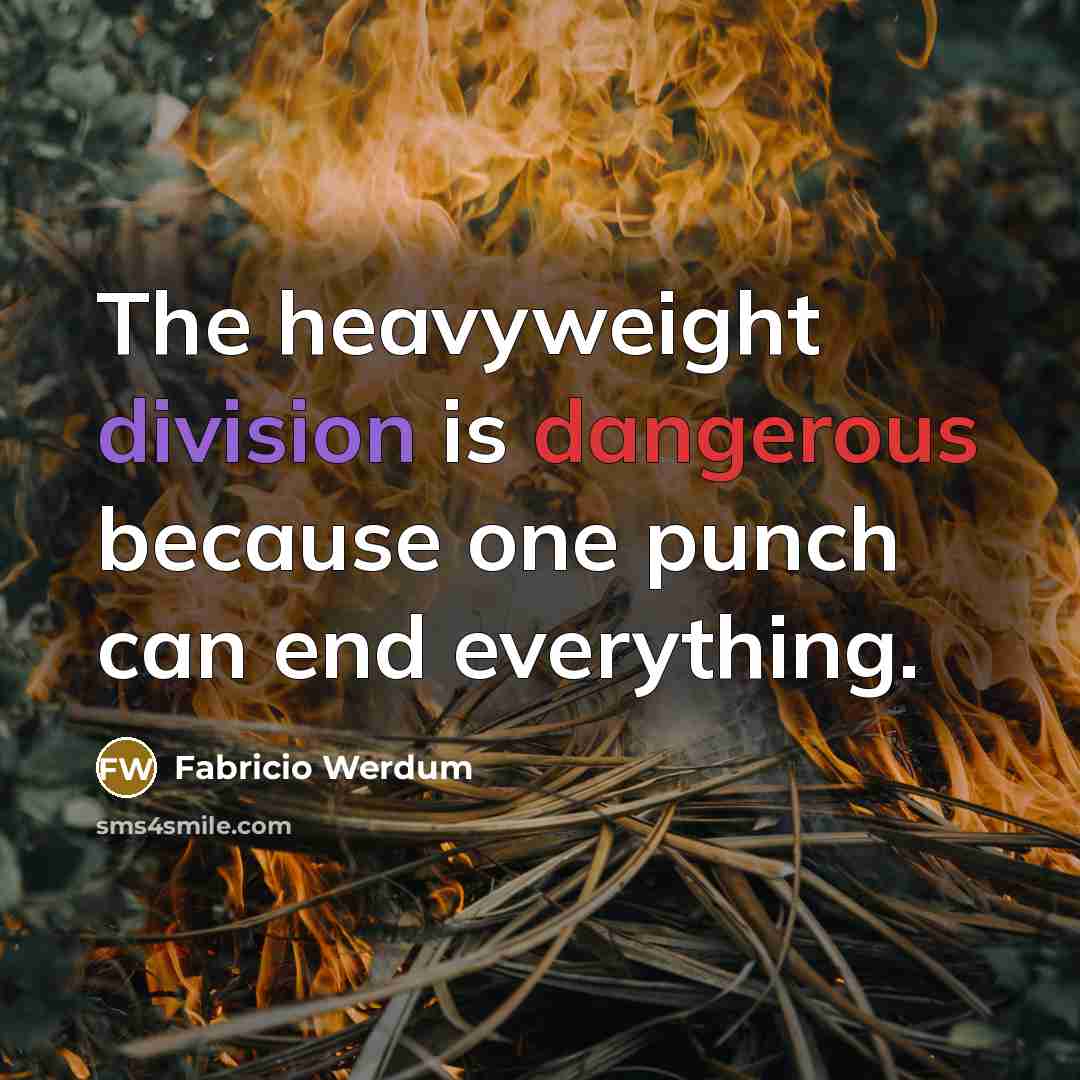 “The heavyweight division is dangerous because one punch can end everything.” quote by Fabricio Werdum