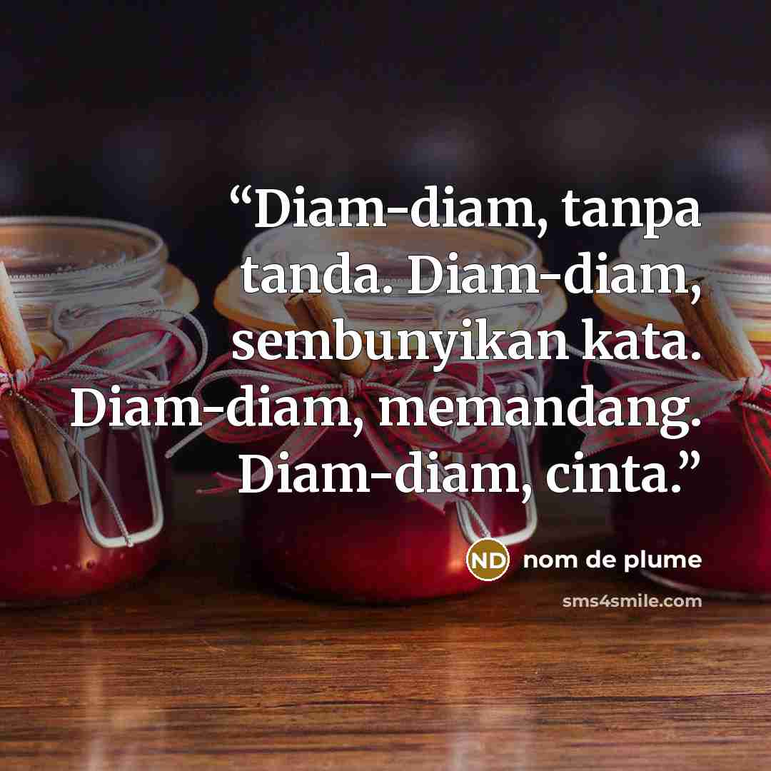 “Diam-diam, tanpa tanda. Diam-diam, sembunyikan kata. Diam-diam, memandang. Diam-diam, cinta.” quote by nom de plume