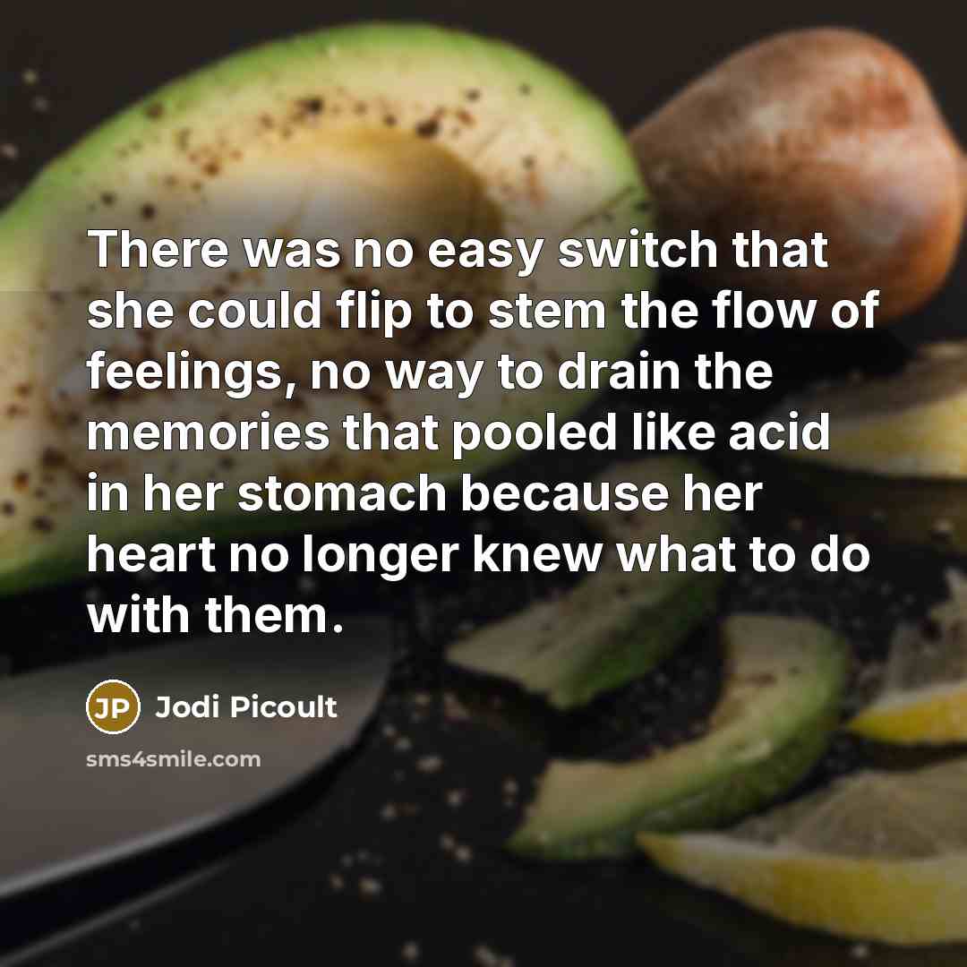 “There was no easy switch that she could flip to stem the flow of feelings, no way to drain the memories that pooled like acid in her stomach because her heart no longer knew what to do with them.” quote by Jodi Picoult