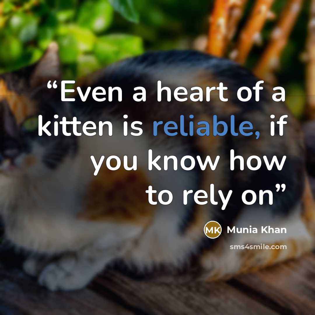“Even a heart of a kitten is reliable, if you know how to rely on” quote by Munia Khan