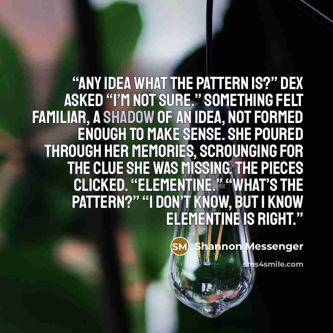 “Any idea what the pattern is?” Dex asked “I’m not sure.” Something felt familiar, a shadow of an idea, not formed enough to make sense. She poured through her memories, scrounging for the clue she was missing. The pieces clicked. “Elementine.” “What’s the pattern?” “I don’t know, but I know…” quote by Shannon Messenger