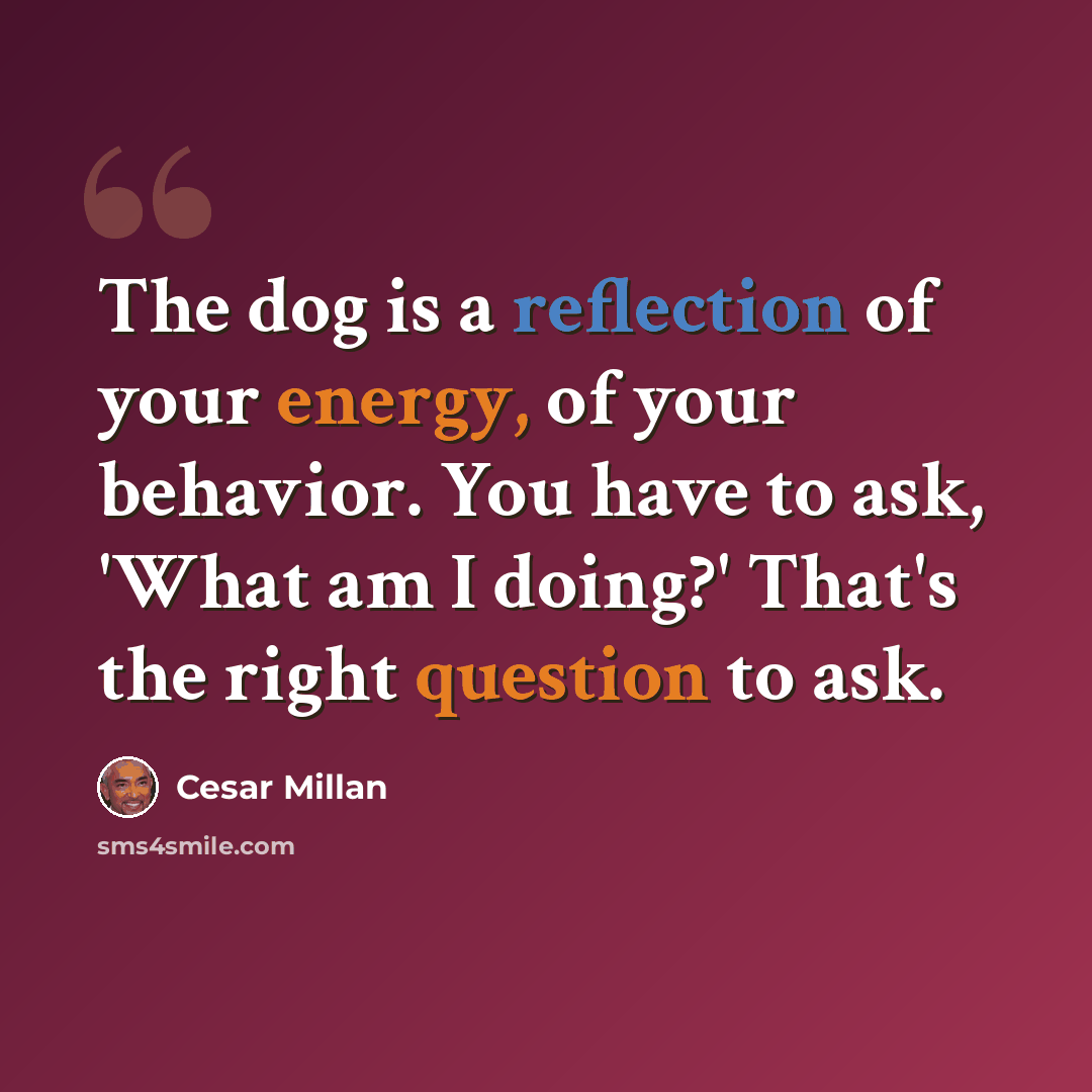“The dog is a reflection of your energy, of your behavior. You have to ask, 'What am I doing?' That's the right question to ask.” quote by Cesar Millan