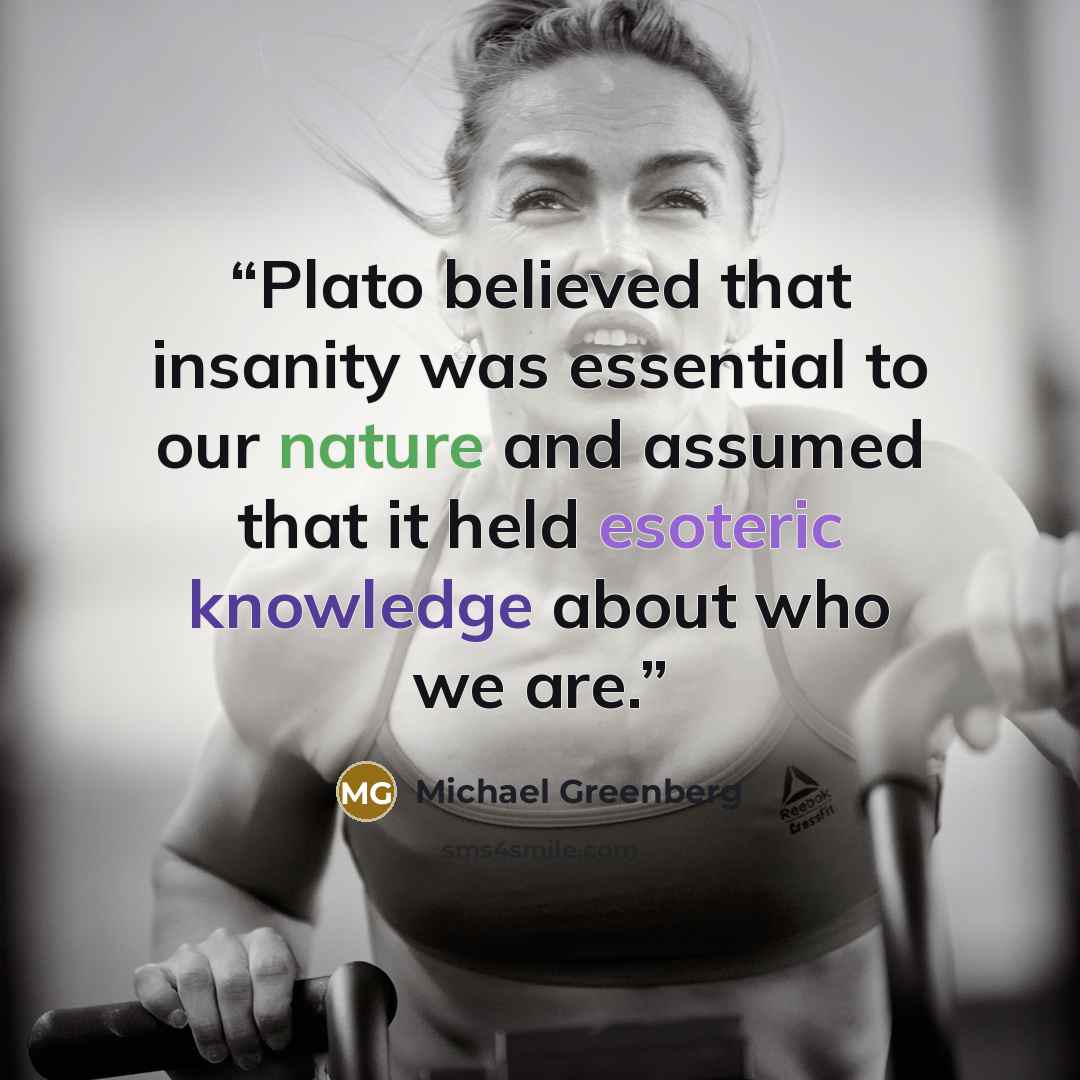 “Plato believed that insanity was essential to our nature and assumed that it held esoteric knowledge about who we are.” quote by Michael Greenberg