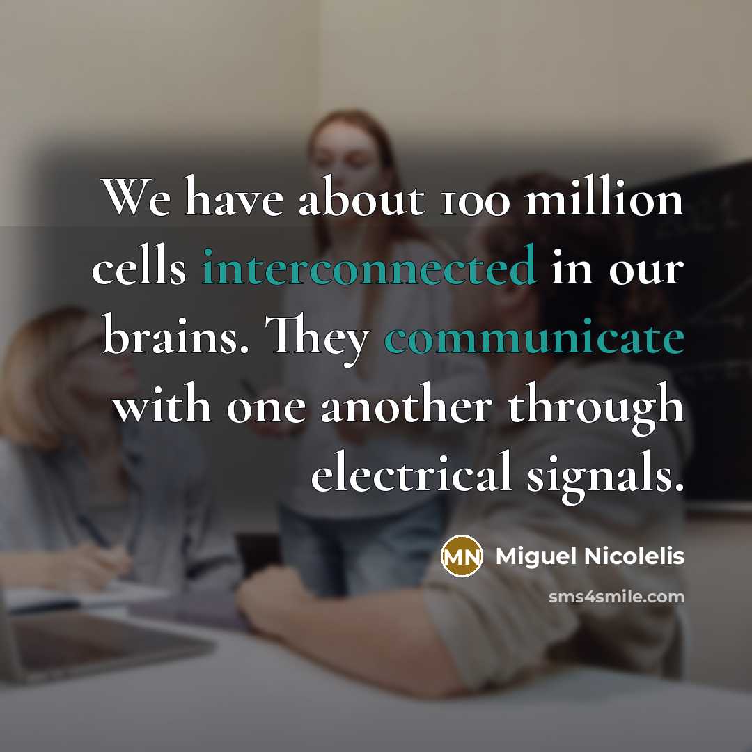 “We have about 100 million cells interconnected in our brains. They communicate with one another through electrical signals.” quote by Miguel Nicolelis