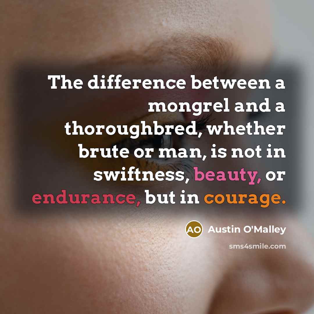 “The difference between a mongrel and a thoroughbred, whether brute or man, is not in swiftness, beauty, or endurance, but in courage.” quote by Austin O'Malley