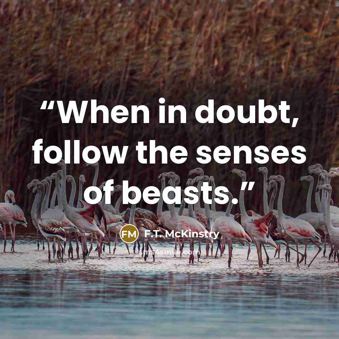 “When in doubt, follow the senses of beasts.” quote by F.T. McKinstry