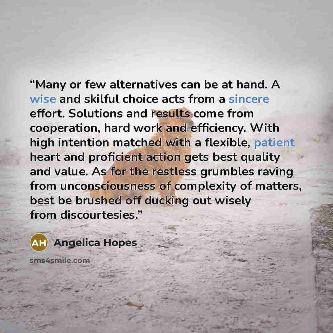 “Many or few alternatives can be at hand. A wise and skilful choice acts from a sincere effort. Solutions and results come from cooperation, hard work and efficiency. With high intention matched with a flexible, patient heart and proficient action gets best quality and value. As for the restless…” quote by Angelica Hopes