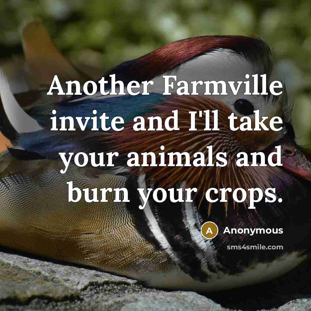 “Another Farmville invite and I'll take your animals and burn your crops.” quote by Anonymous