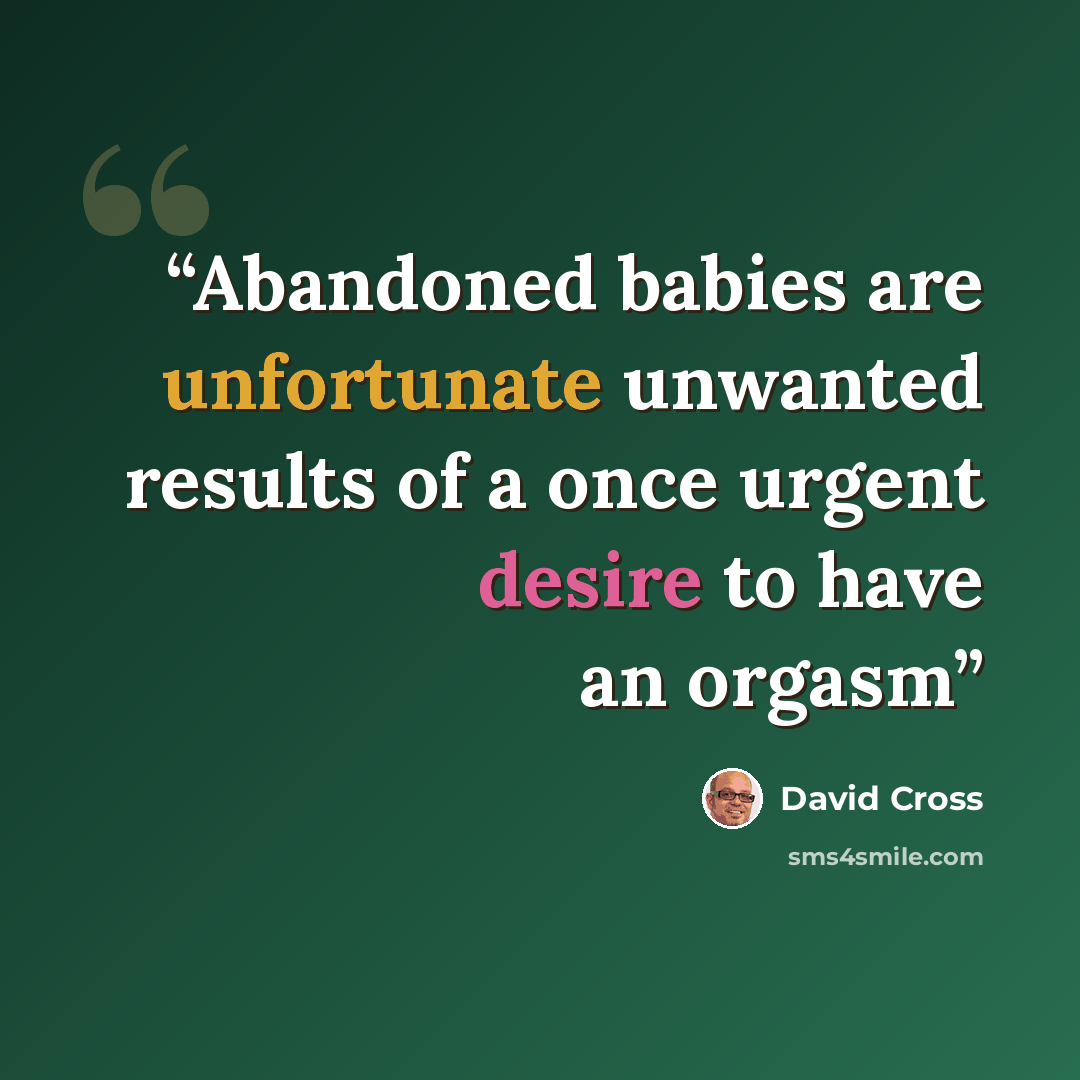 “Abandoned babies are unfortunate unwanted results of a once urgent desire to have an orgasm” quote by David Cross