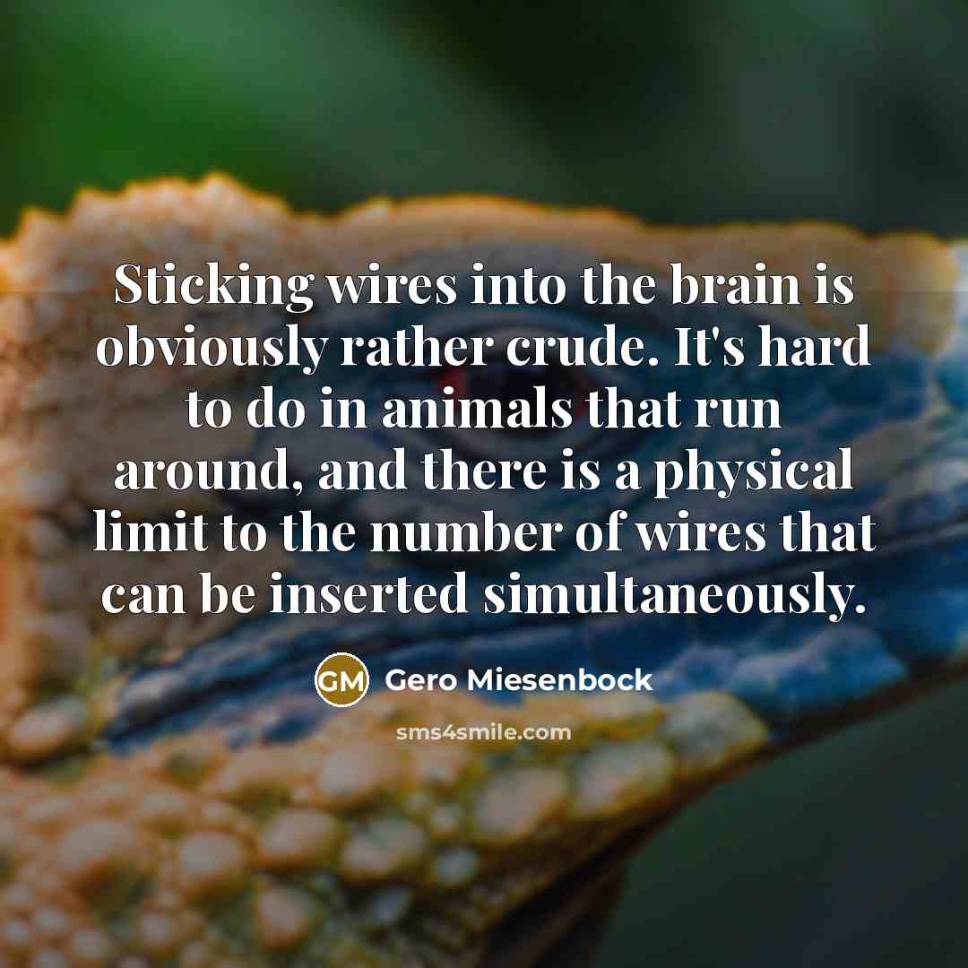 “Sticking wires into the brain is obviously rather crude. It's hard to do in animals that run around, and there is a physical limit to the number of wires that can be inserted simultaneously.” quote by Gero Miesenbock