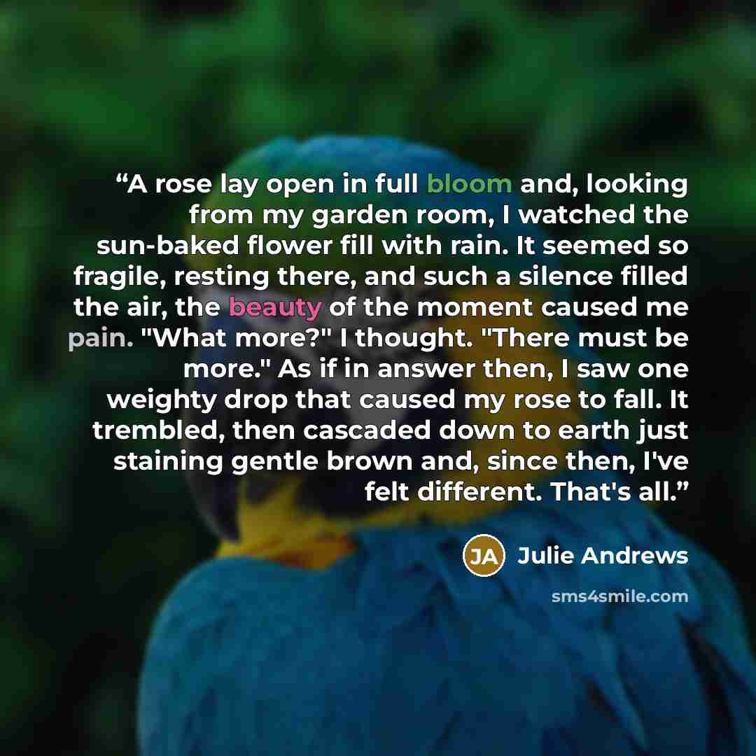 “A rose lay open in full bloom and, looking from my garden room, I watched the sun-baked flower fill with rain. It seemed so fragile, resting there, and such a silence filled the air, the beauty of the moment caused me pain. "What more?" I thought. "There must be more." As if in answer then, I saw…” quote by Julie Andrews