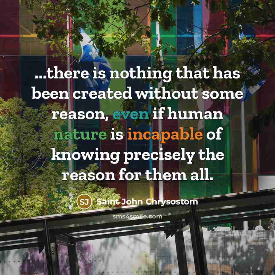 “...there is nothing that has been created without some reason, even if human nature is incapable of knowing precisely the reason for them all.” quote by Saint John Chrysostom