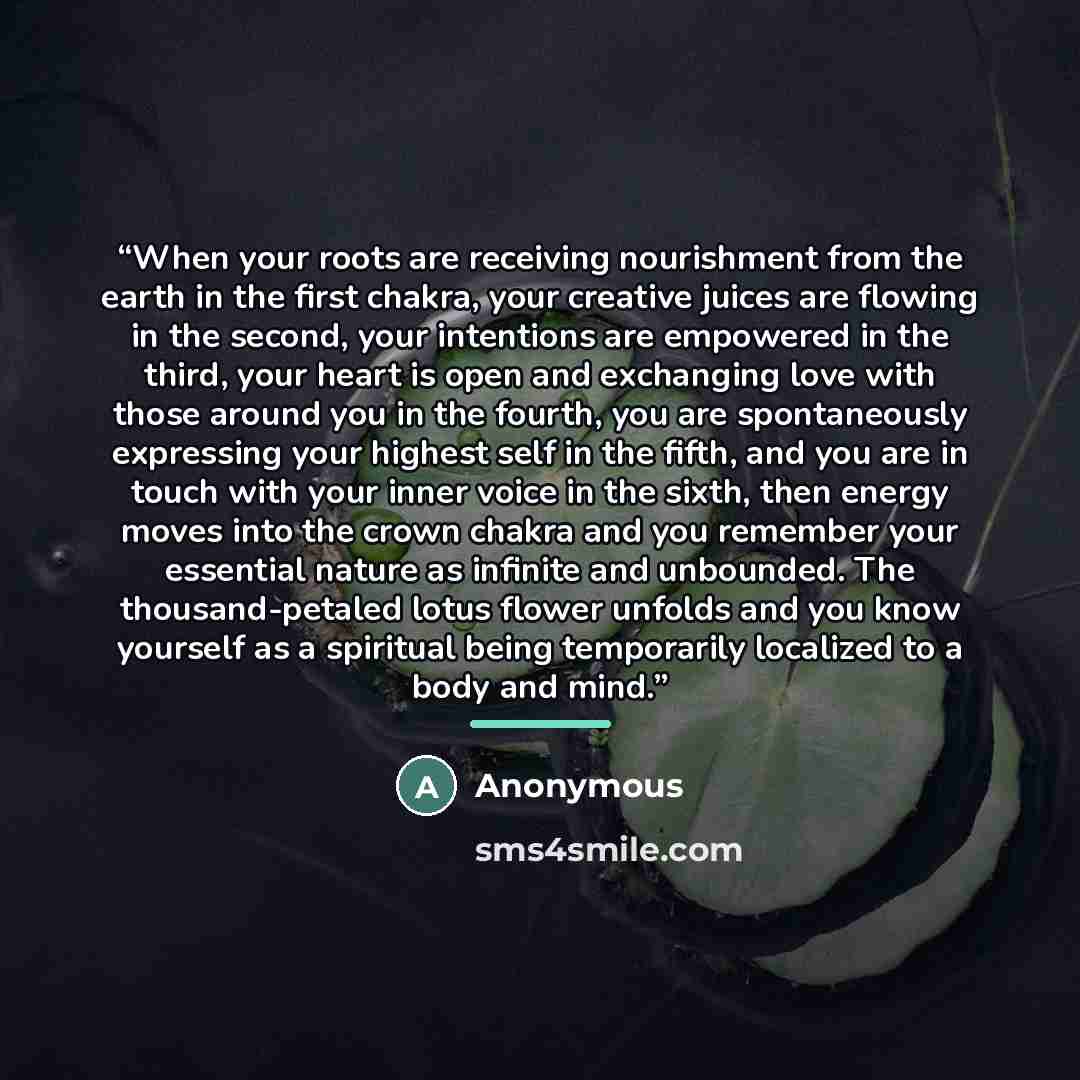 “When your roots are receiving nourishment from the earth in the first chakra, your creative juices are flowing in the second, your intentions are empowered in the third, your heart is open and exchanging love with those around you in the fourth, you are spontaneously expressing your highest self…” quote by Anonymous