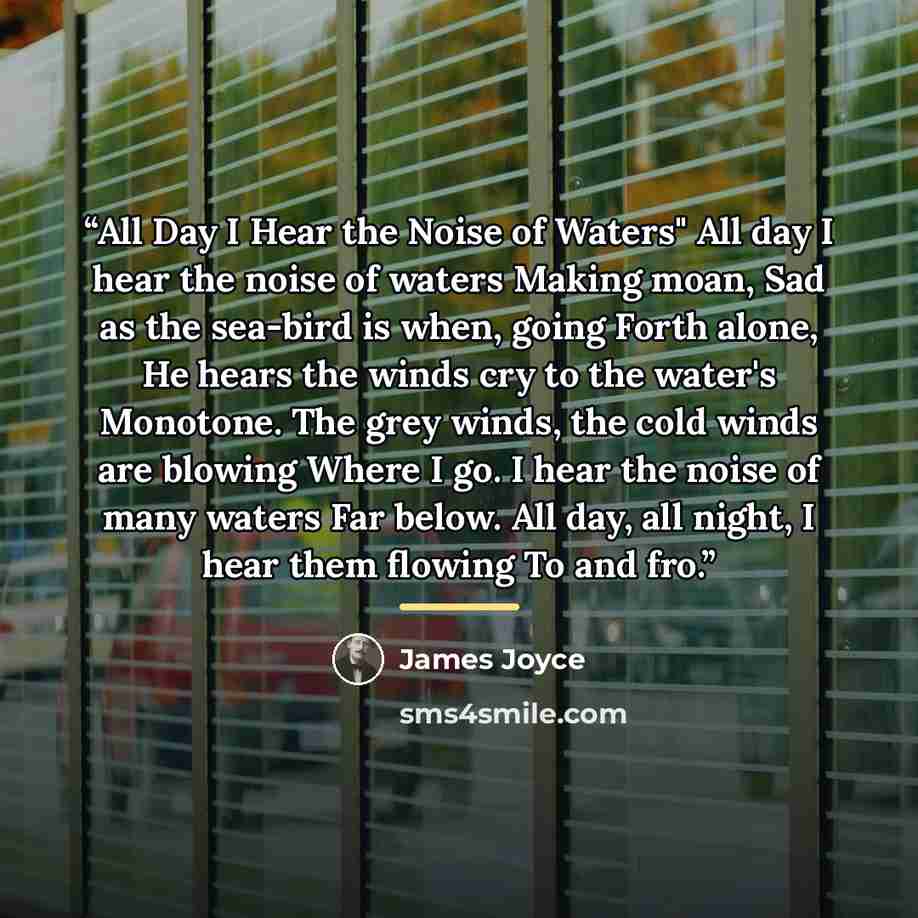 “All Day I Hear the Noise of Waters" All day I hear the noise of waters Making moan, Sad as the sea-bird is when, going Forth alone, He hears the winds cry to the water's Monotone. The grey winds, the cold winds are blowing Where I go. I hear the noise of many waters Far below. All day, all night…” quote by James Joyce