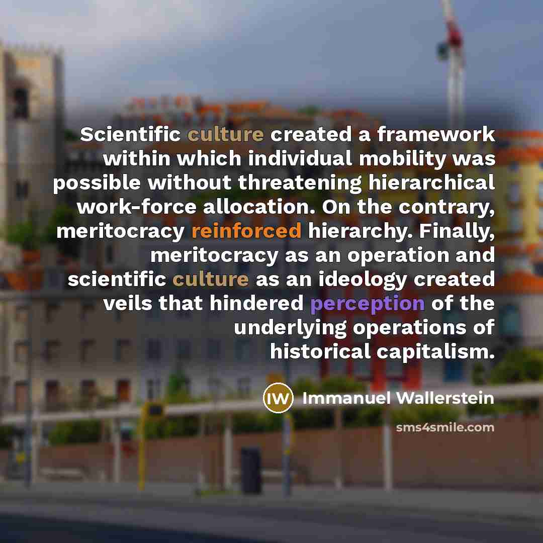 “Scientific culture created a framework within which individual mobility was possible without threatening hierarchical work-force allocation. On the contrary, meritocracy reinforced hierarchy. Finally, meritocracy as an operation and scientific culture as an ideology created veils that hindered…” quote by Immanuel Wallerstein